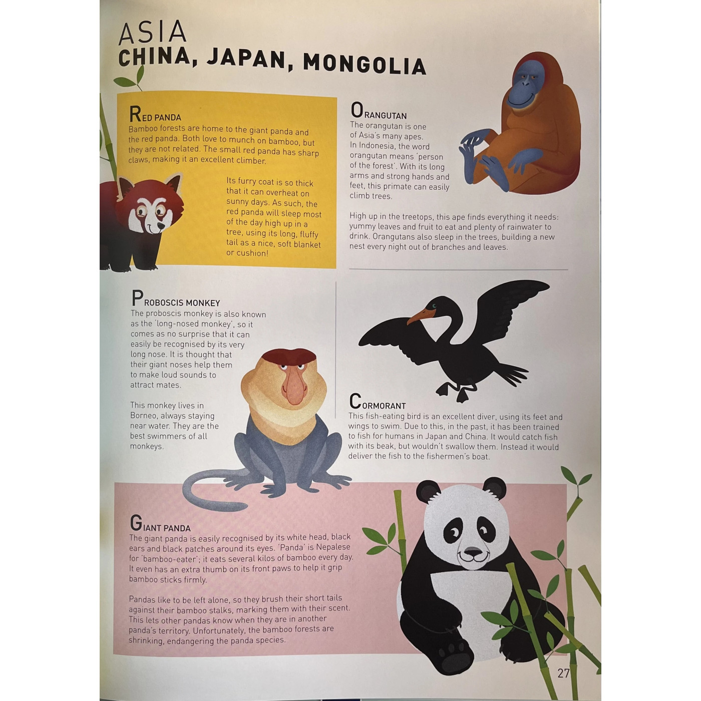 Yoyo Books - Amazing Junior Atlas: Animals
