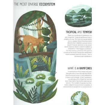 Yoyo Books - World Of Wonder: Amazing Nature