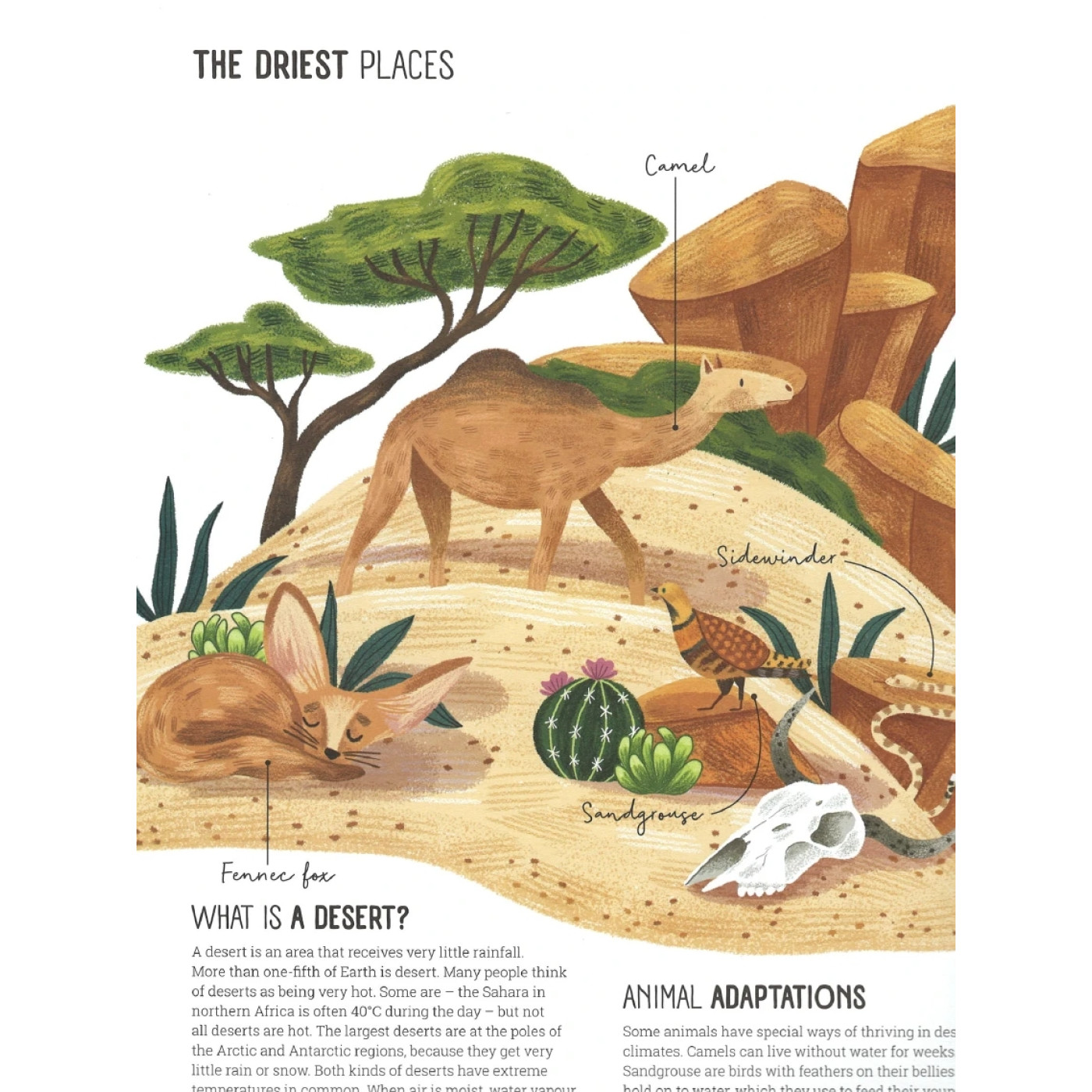 Yoyo Books - World Of Wonder: Amazing Nature Yoyo Books - World Of Wonder: Amazing Nature