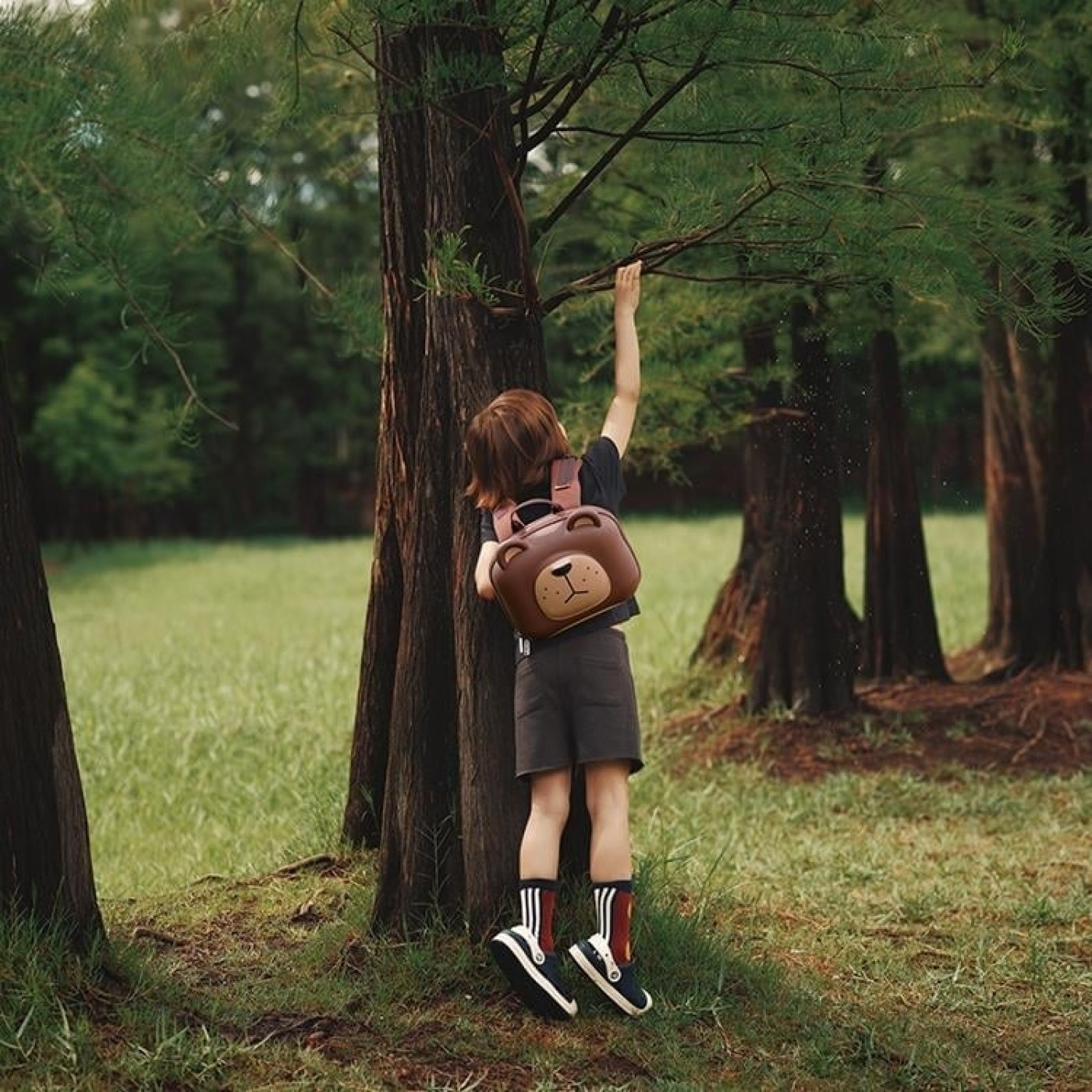 ZOYZOII Forest Serisi Cute Big Brown Sırt Çantası / Bear - B01002 - 8690000005123