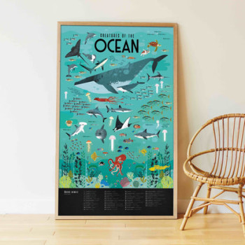 Poppik - Discovery Oceans Poppik - Discovery Oceans
