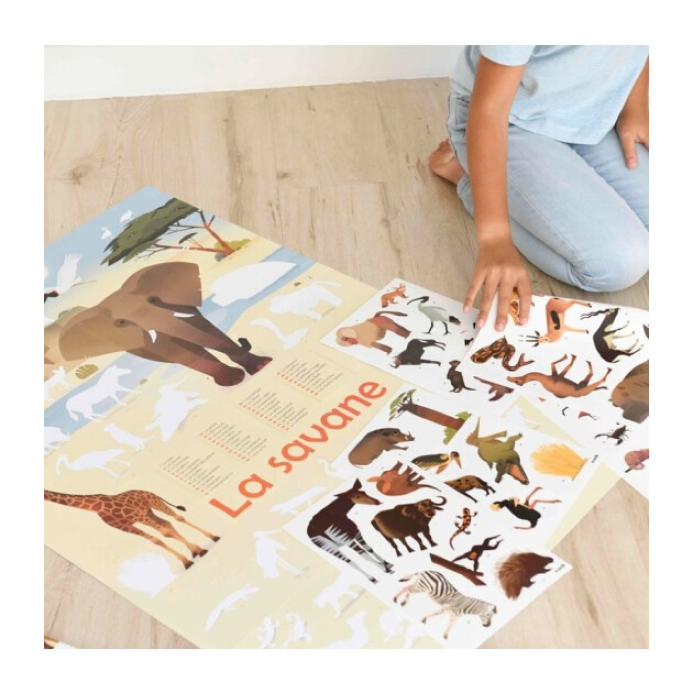 Poppik - Discovery Savannah - DIS030 - 8690000000937