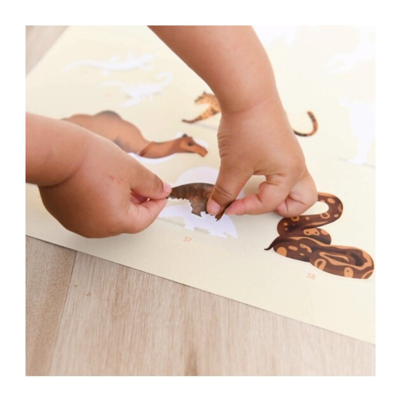 Poppik - Discovery Savannah - DIS030 - 8690000000937