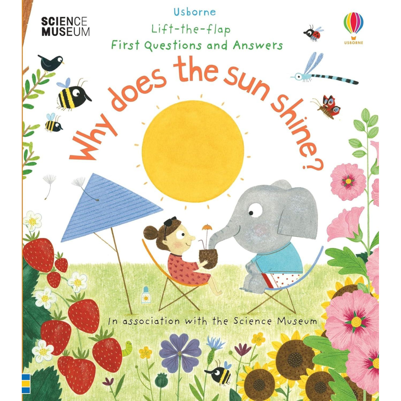 First Questions And Answers: Why Does The Sun Shine? - KTP00026 - 9781474948173