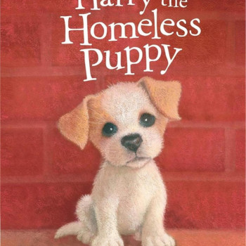 Megakids Yayıncılık - Holly Webb Animal Stories: Harry The Homeless Puppy