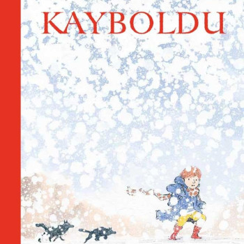 Megakids Yayıncılık - Kayboldu