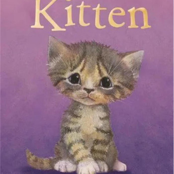 Megakids Yayıncılık - Holly Webb Animal Stories: The Saddest Kitten