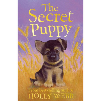 Holly Webb Animal Stories: The Secret Puppy Holly Webb Animal Stories: The Secret Puppy