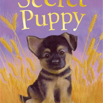 Megakids Yayıncılık - Holly Webb Animal Stories: The Secret Puppy
