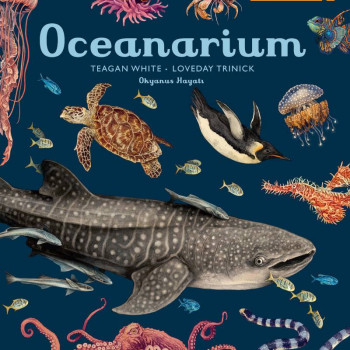 Megakids Yayıncılık - Oceanarium Megakids Yayıncılık - Oceanarium